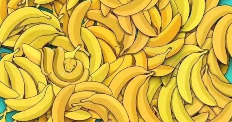 Kan du finne dyret som er gjemt blant bananene?