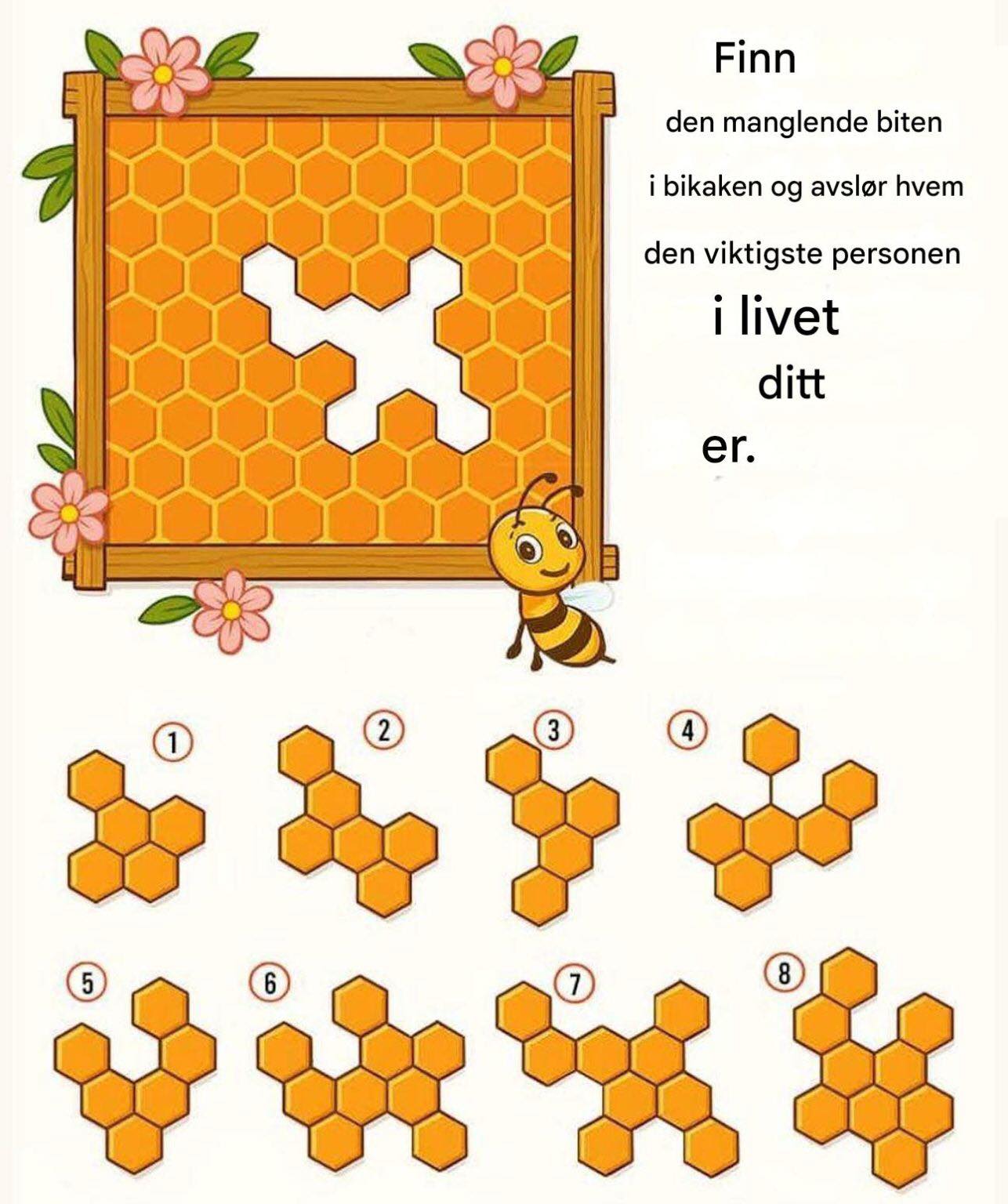 Finn den manglende delen av bikakemønsteret og se hvem som går ved din side.
