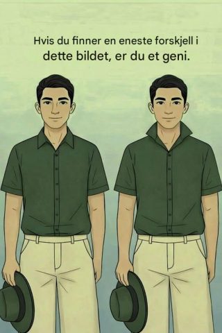 Finn forskjellen – er du et geni?