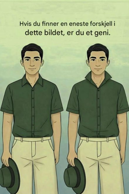 Finn forskjellen – er du et geni?