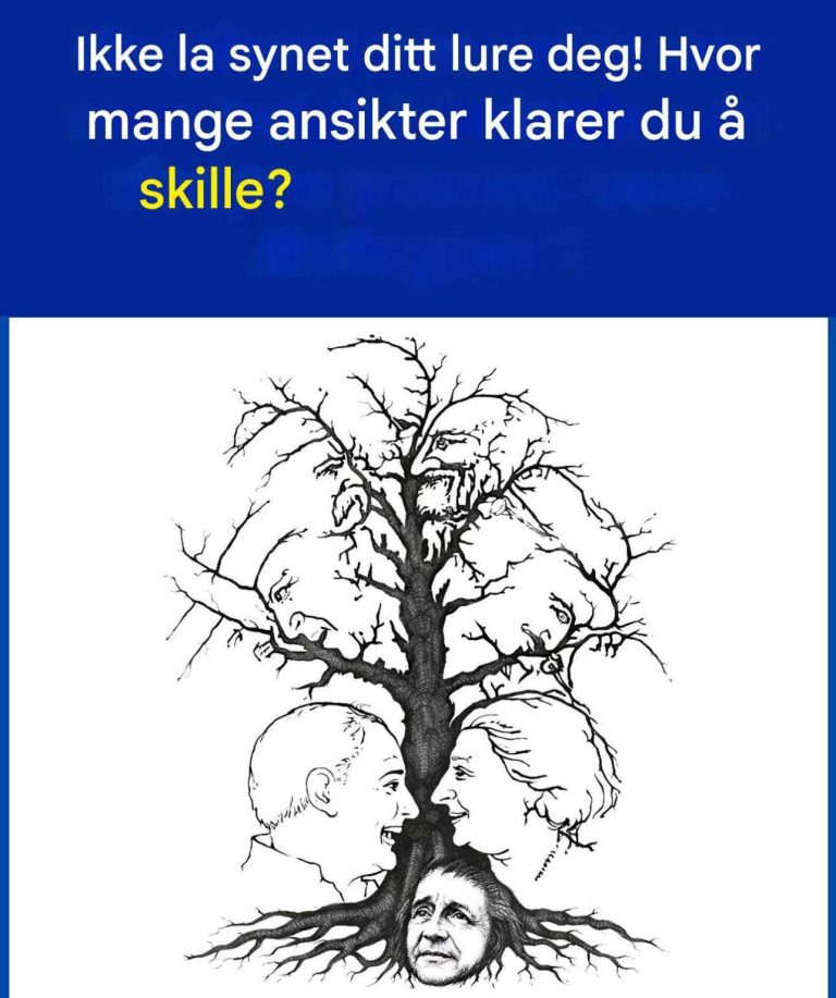 Hvor mange ansikter ser du skjult i dette treet?