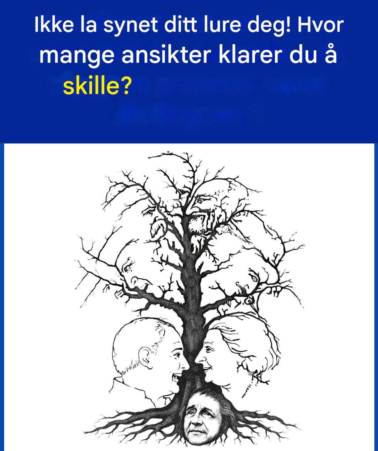 Hvor mange ansikter ser du skjult i dette treet?