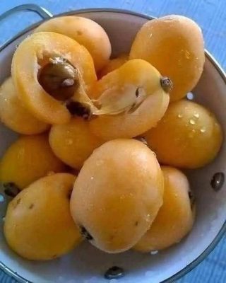 Jeg har prøvd å huske navnet på denne frukten hele livet