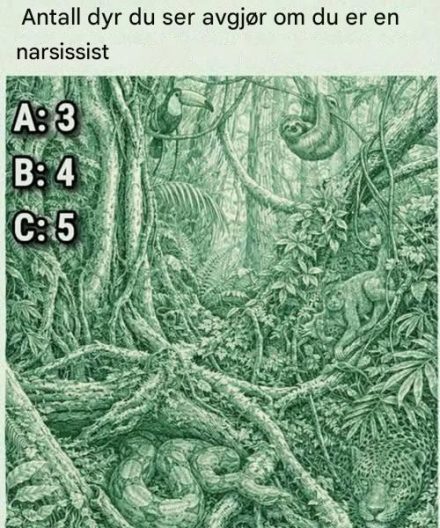 Hvor mange dyr du legger merke til kan avsløre om du har narsissistiske trekk