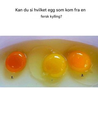 Skriv en artikkel til meg basert på dette bildet.